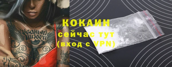 стаф Абдулино