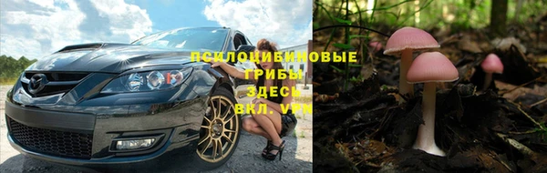 стаф Абдулино