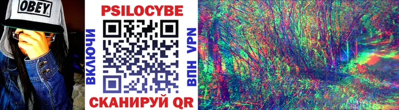 Галлюциногенные грибы Psilocybine cubensis  Орск 